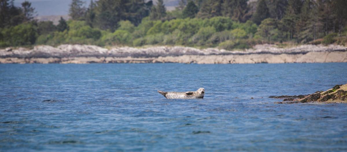 Parknasilla Resort & Spa