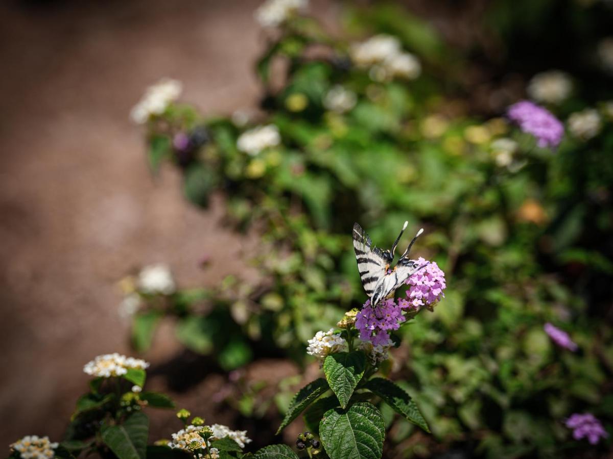 Patmosphere Luxury Escape Adults-Only