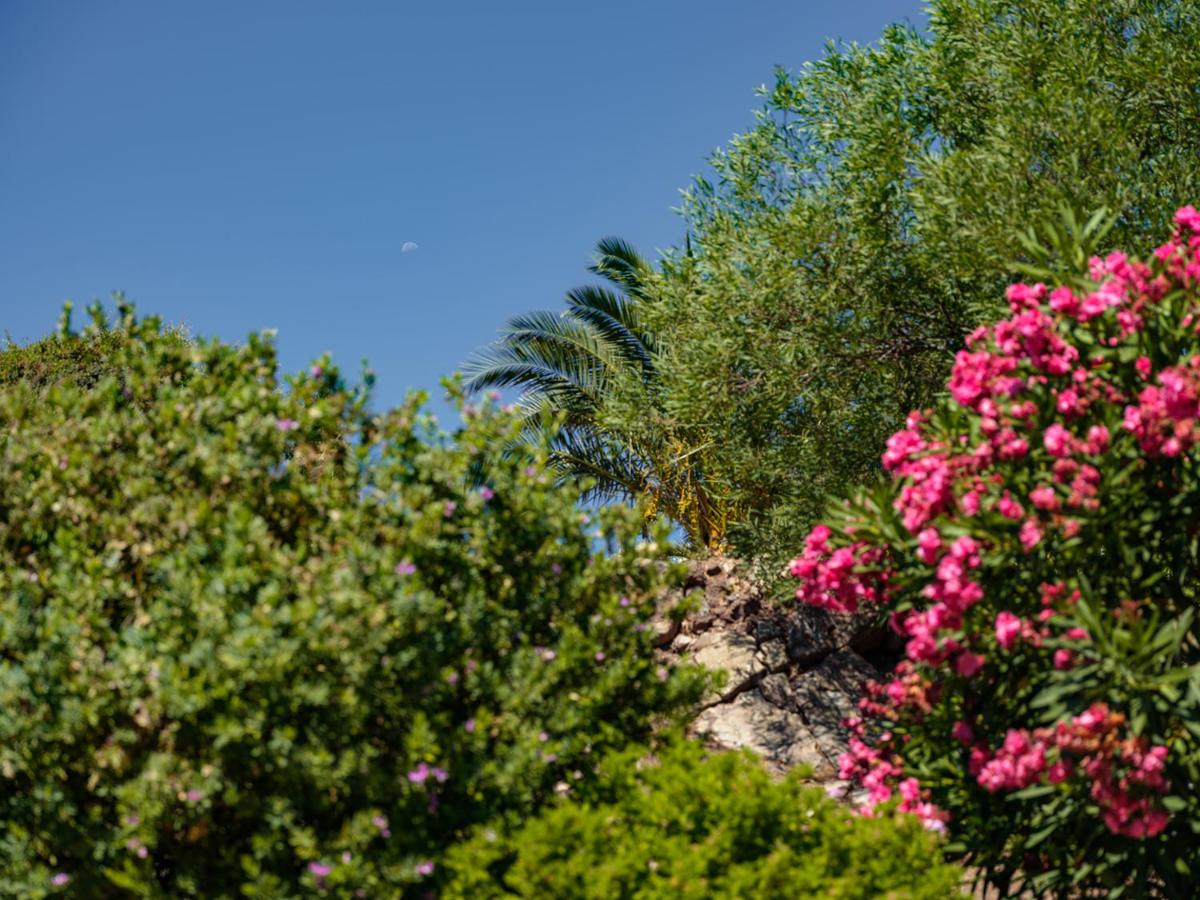 Patmosphere Luxury Escape Adults-Only