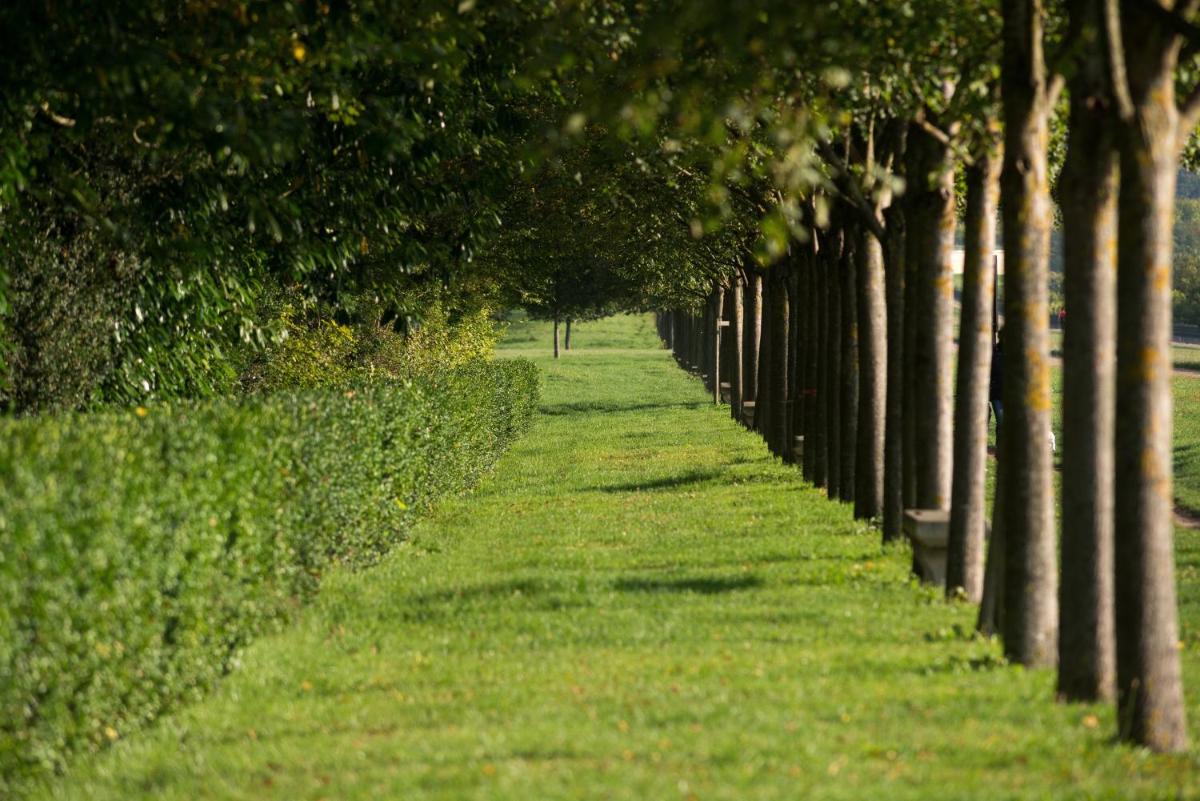 Pavillon Henri IV Hotel Restaurant Gastronomique Terrasse