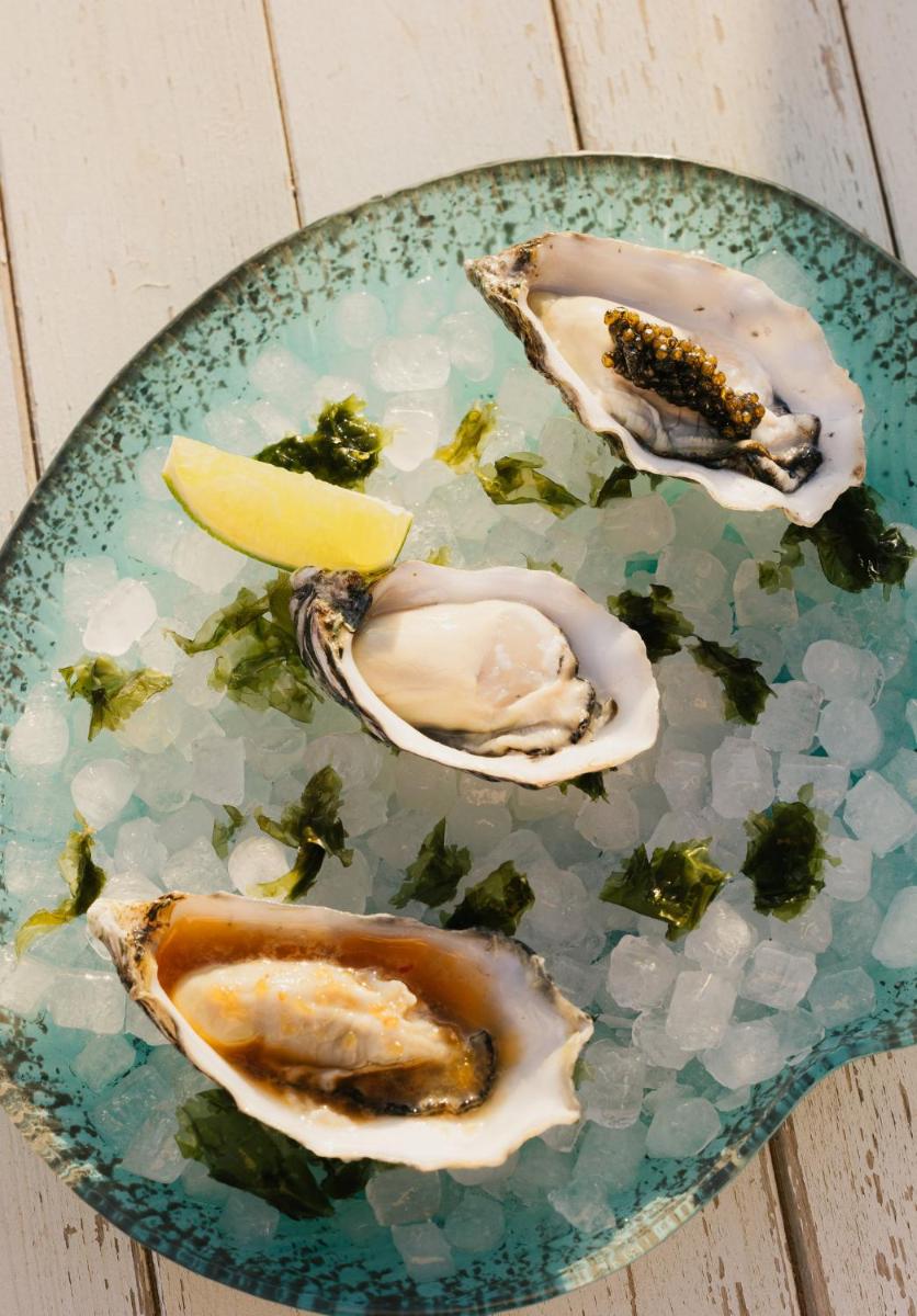 Petunia Ibiza, a Beaumier hotel