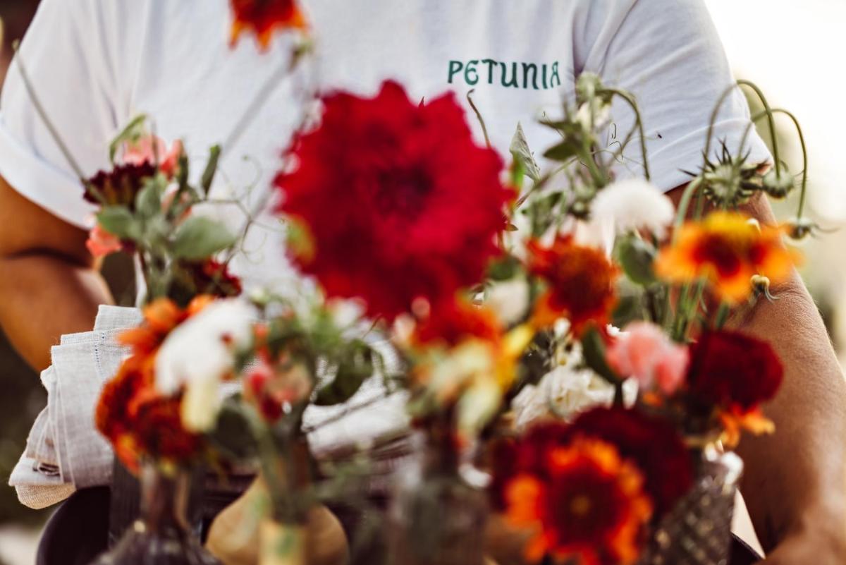 Petunia Ibiza, a Beaumier hotel