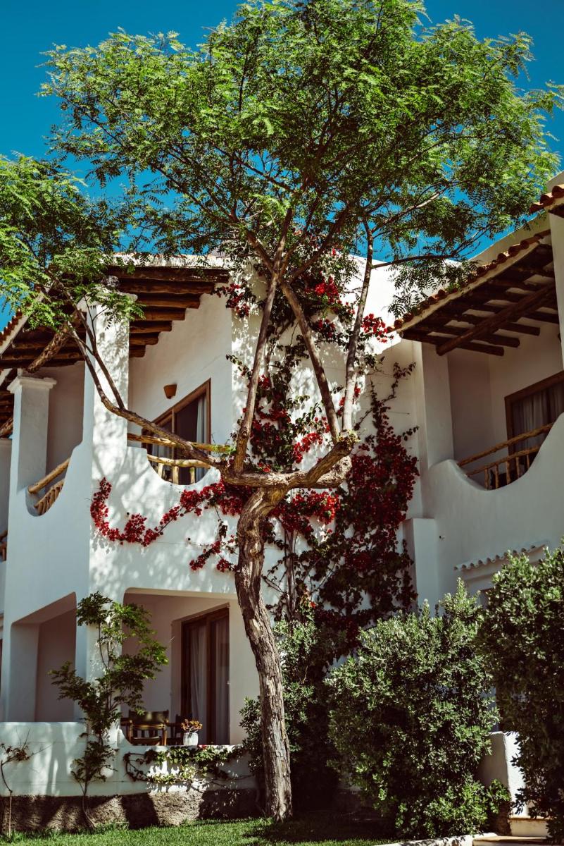 Petunia Ibiza, a Beaumier hotel