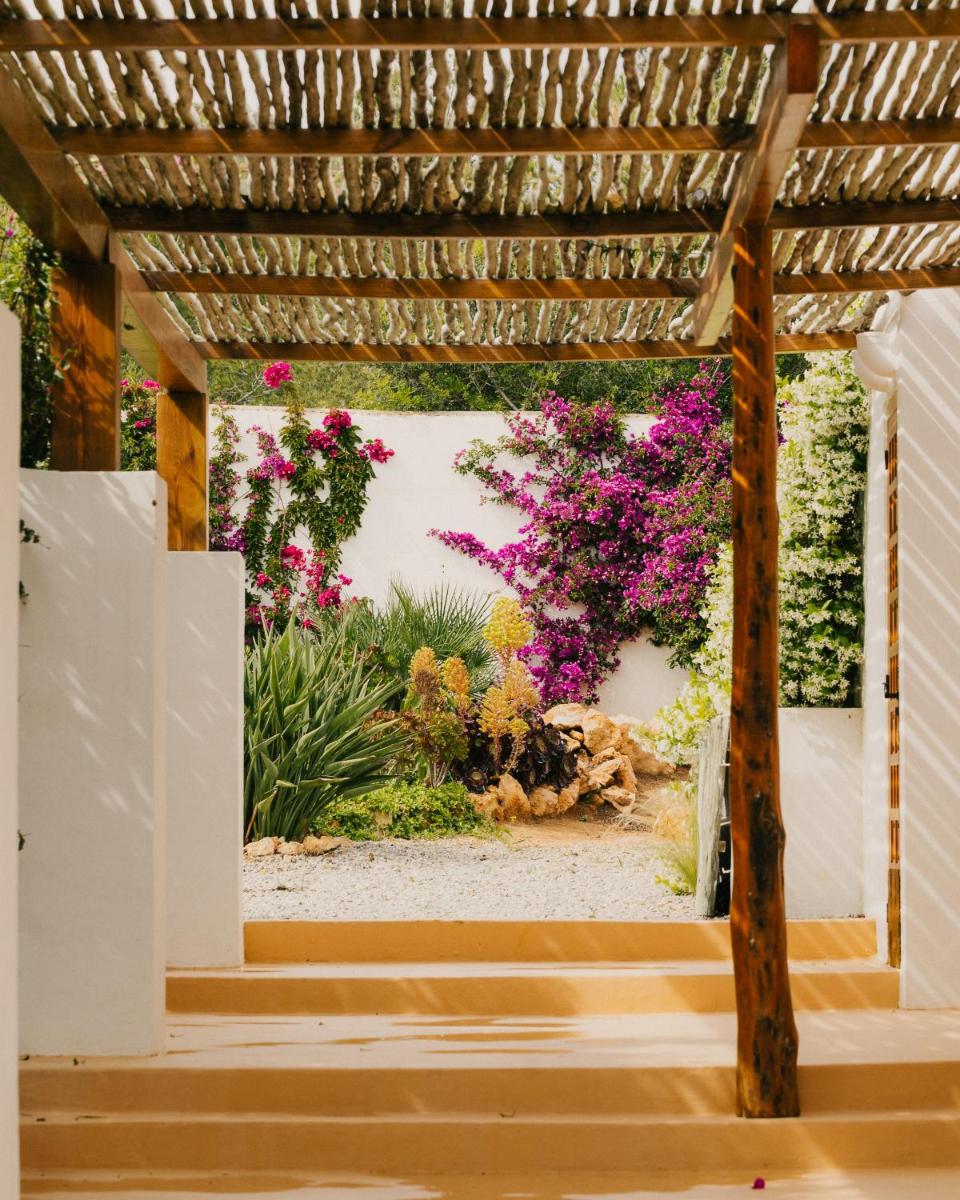 Petunia Ibiza, a Beaumier hotel