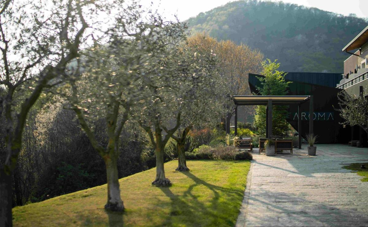 Phi Hotel Piajo