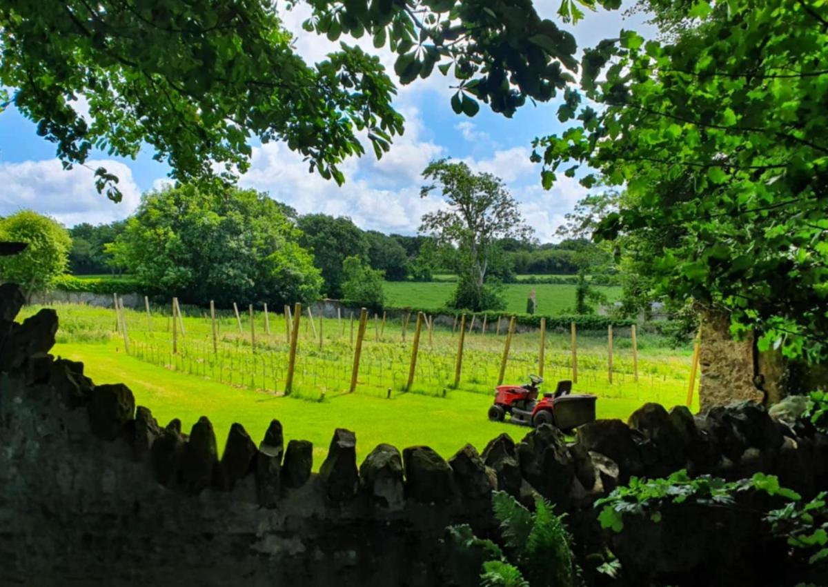 Plas Dinas Country House