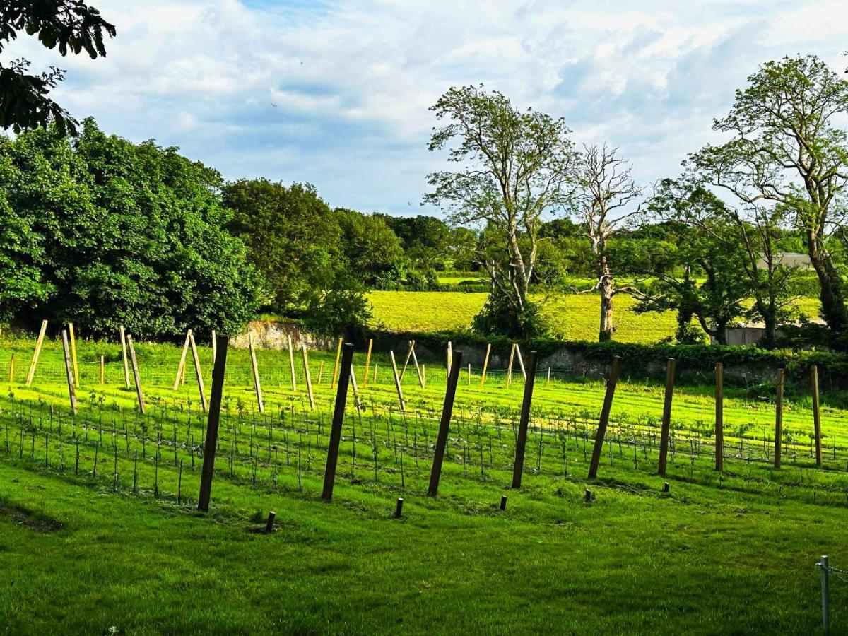 Plas Dinas Country House