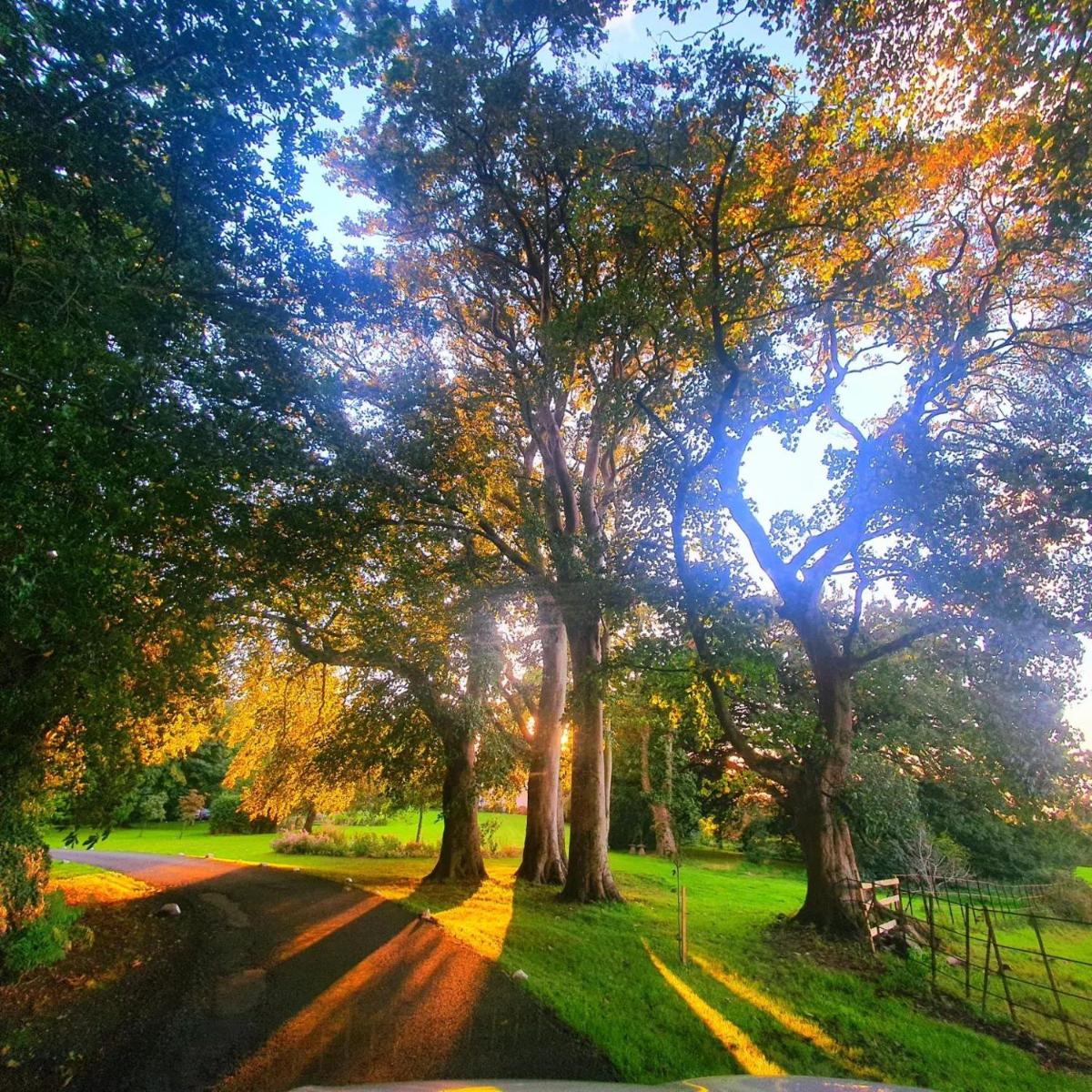 Plas Dinas Country House