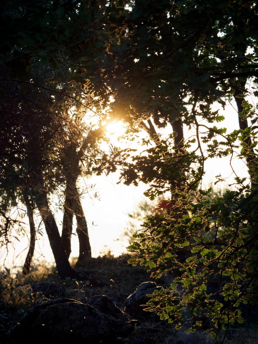 PODERE DELL'ETNA SEGRETA - Essential Nature Hotel & Glamping