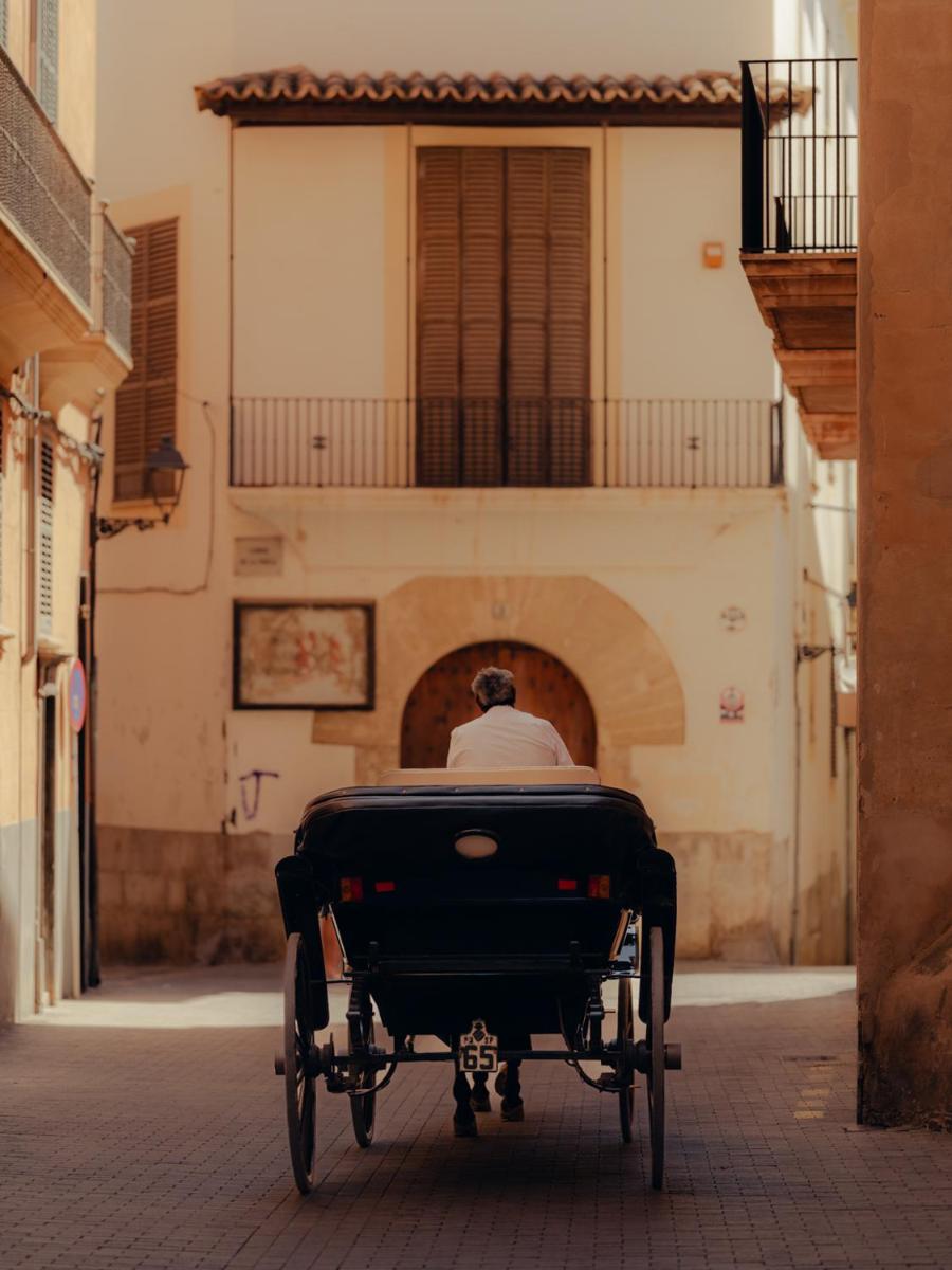 Portella Palma