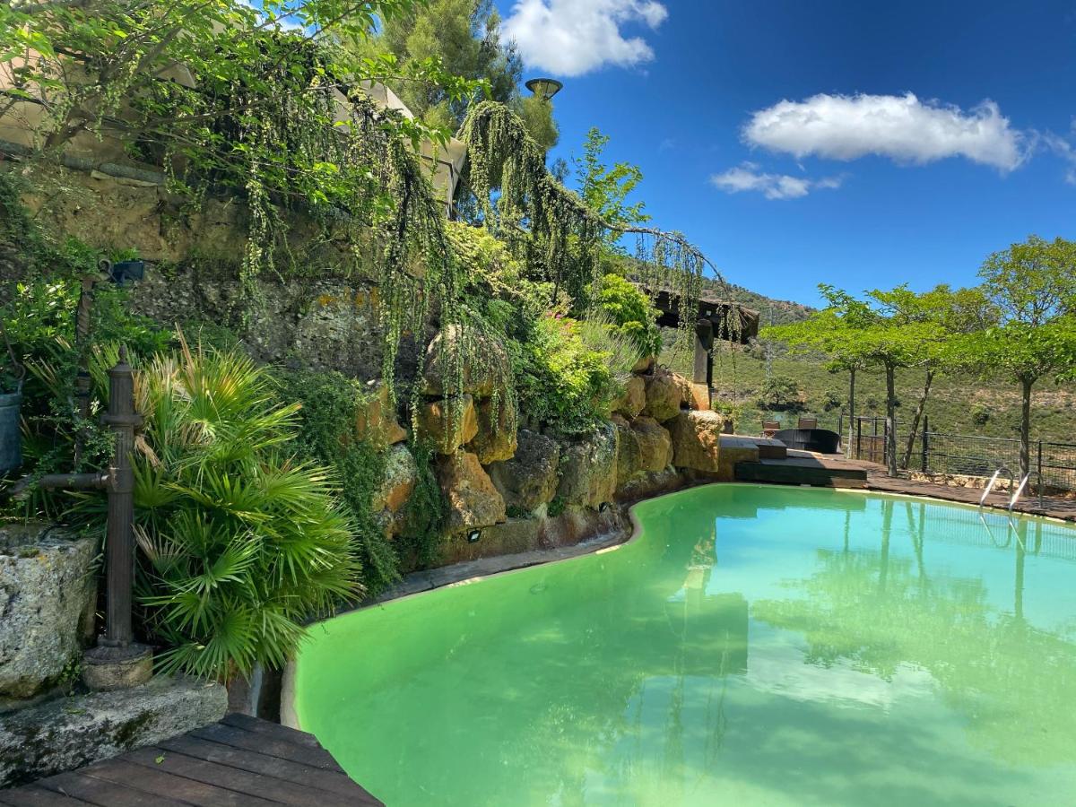 Hotel Rural Castillo de Somaén