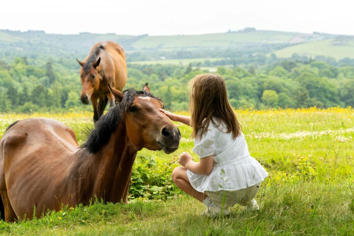 Powerscourt Hotel, Autograph Collection