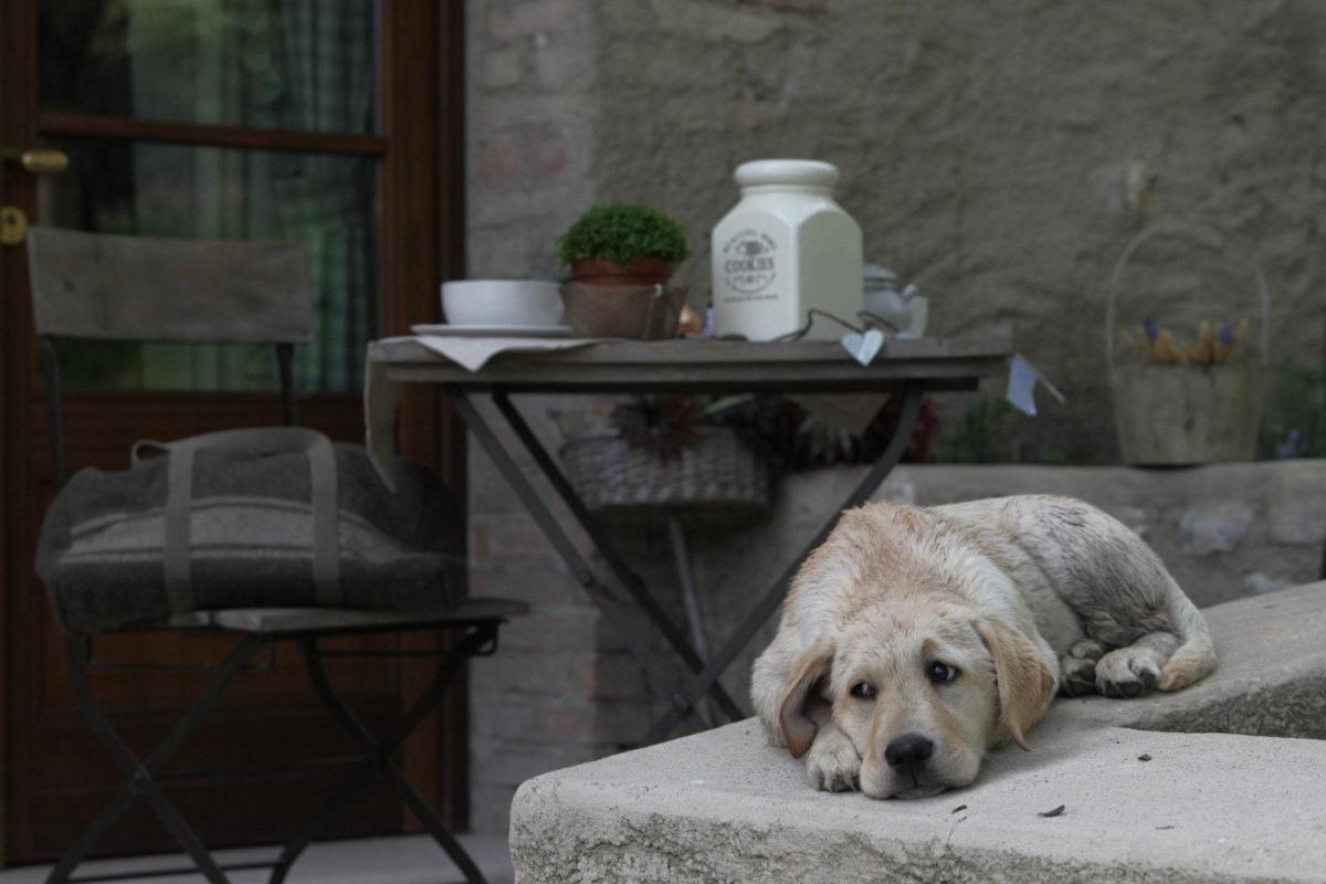 Premignaga Natural Home