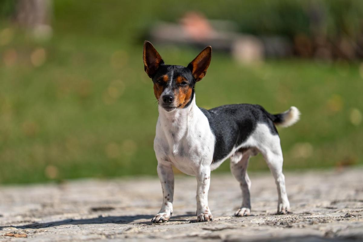 Premignaga Natural Home