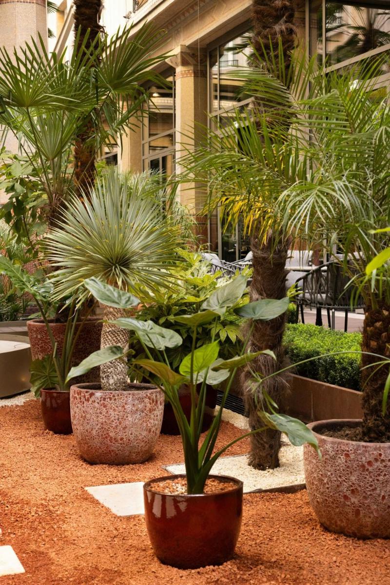 Prince de Galles, a Luxury Collection hotel, Paris