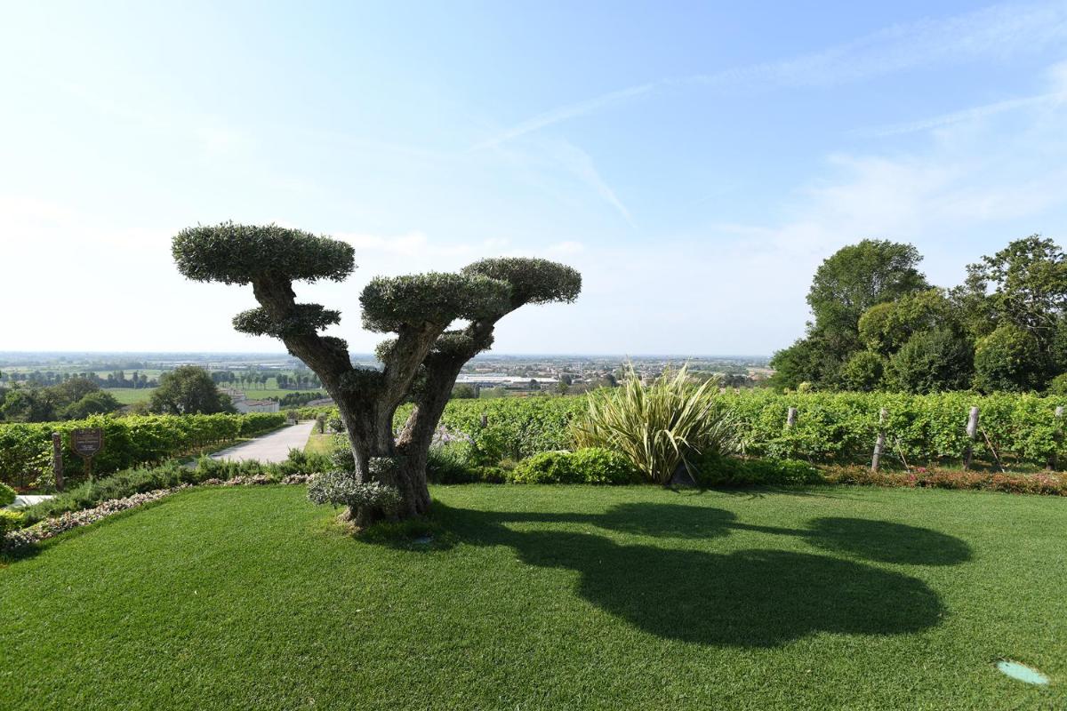 Progress Country & Wine House