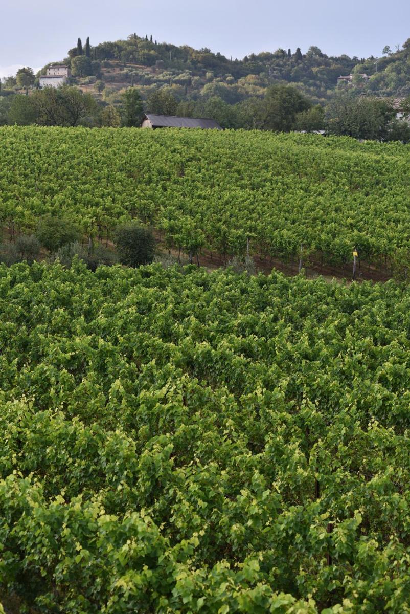 Progress Country & Wine House