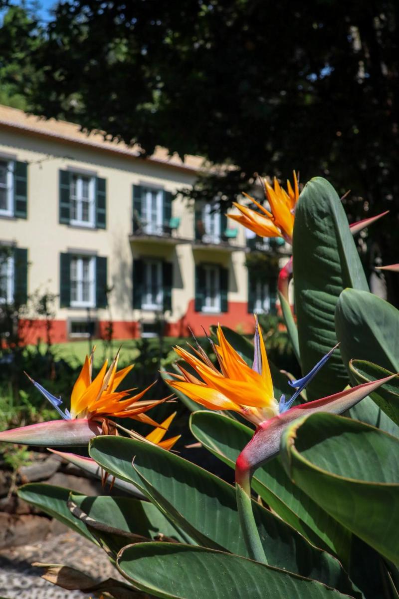 Quinta da Bela Vista