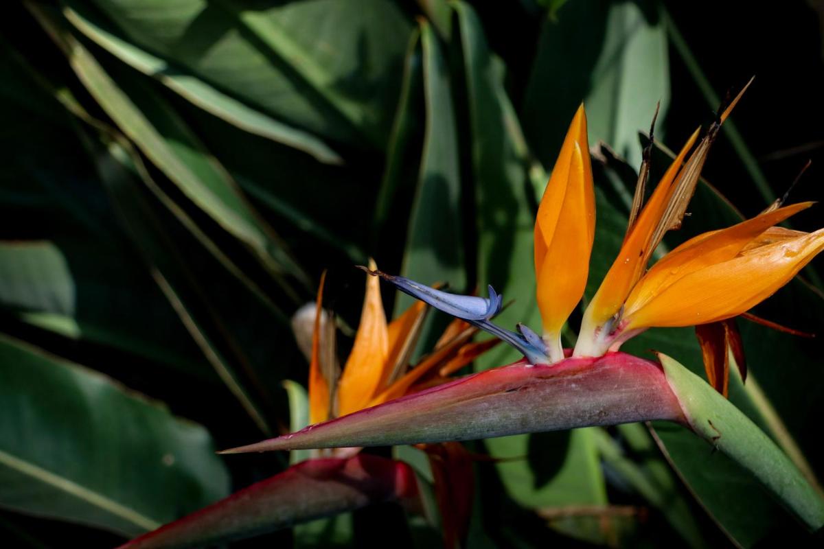 Quinta da Bela Vista
