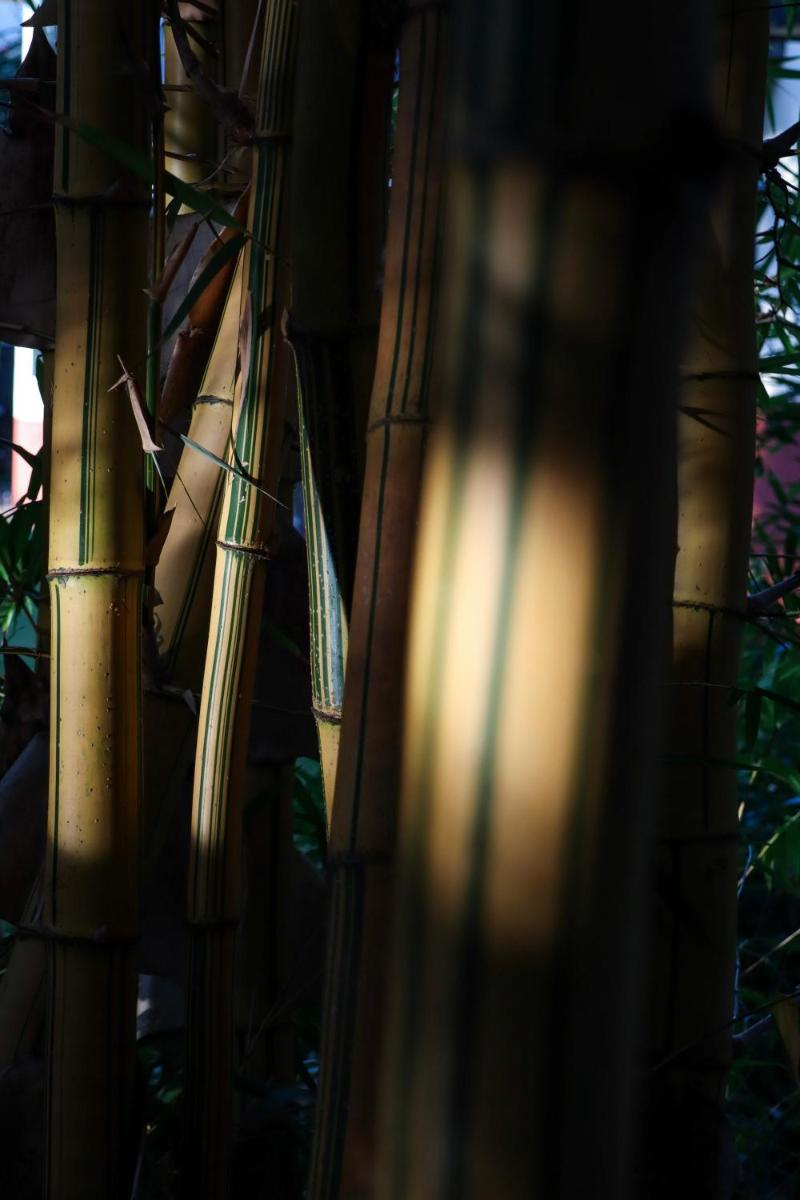 Quinta da Bela Vista