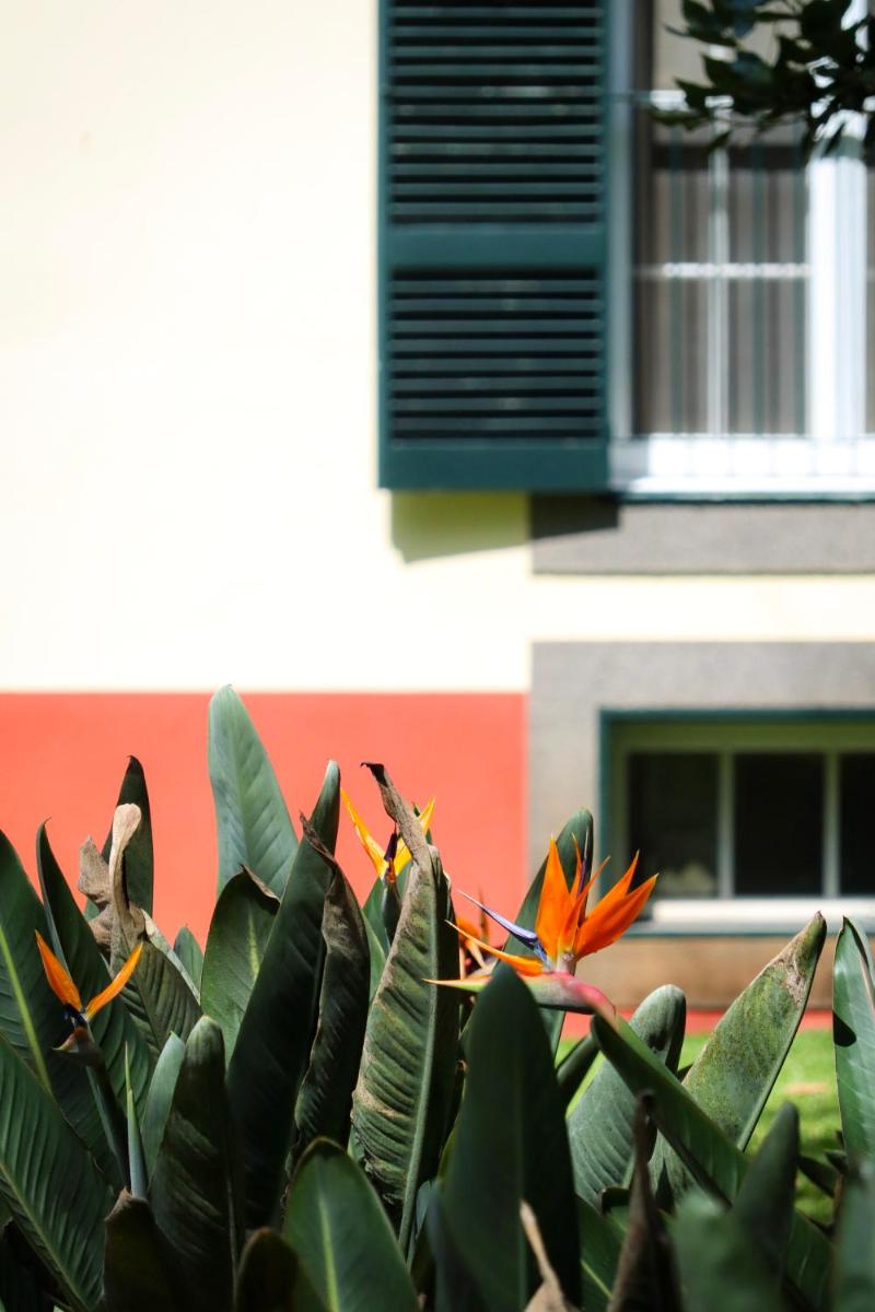 Quinta da Bela Vista