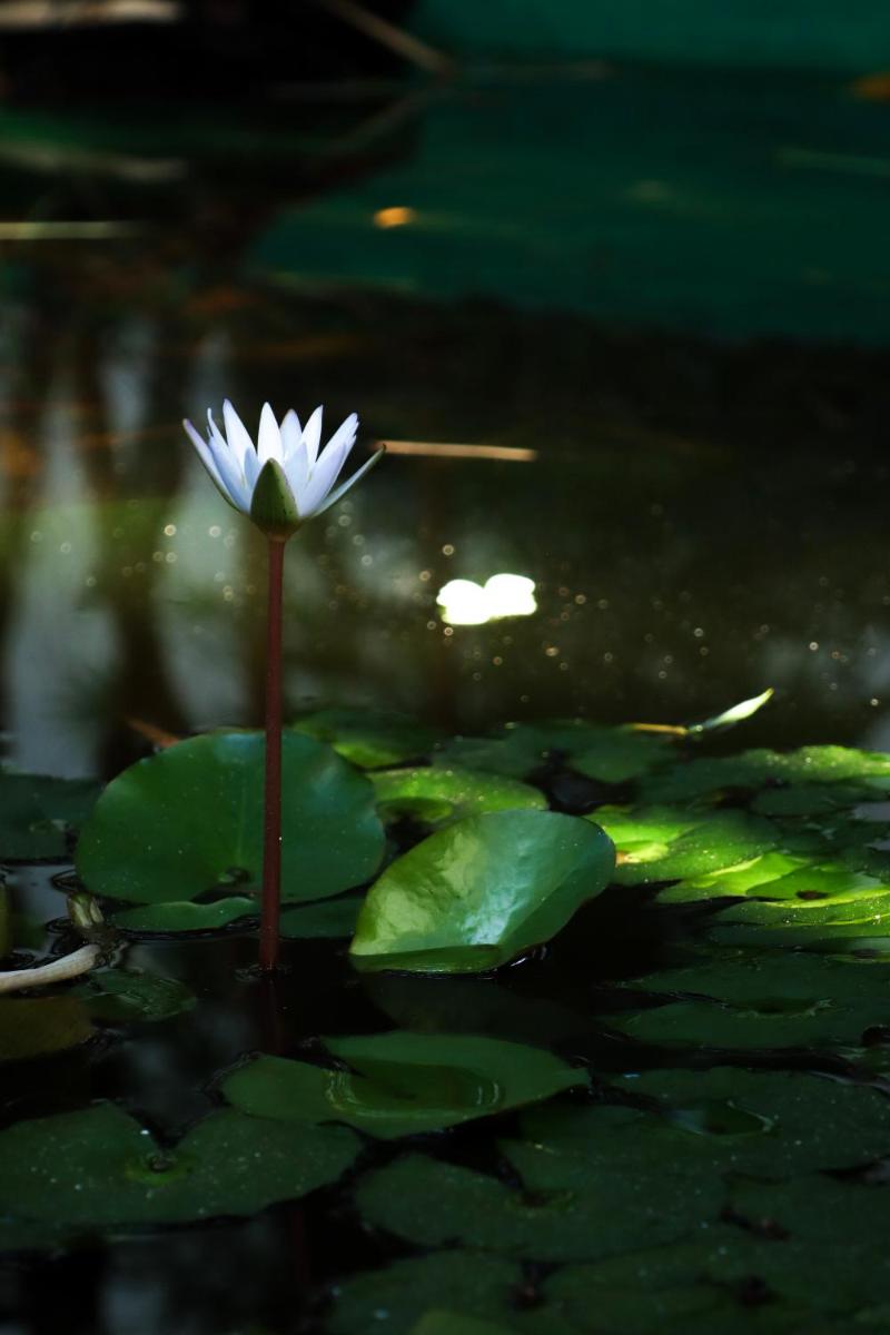 Quinta da Bela Vista