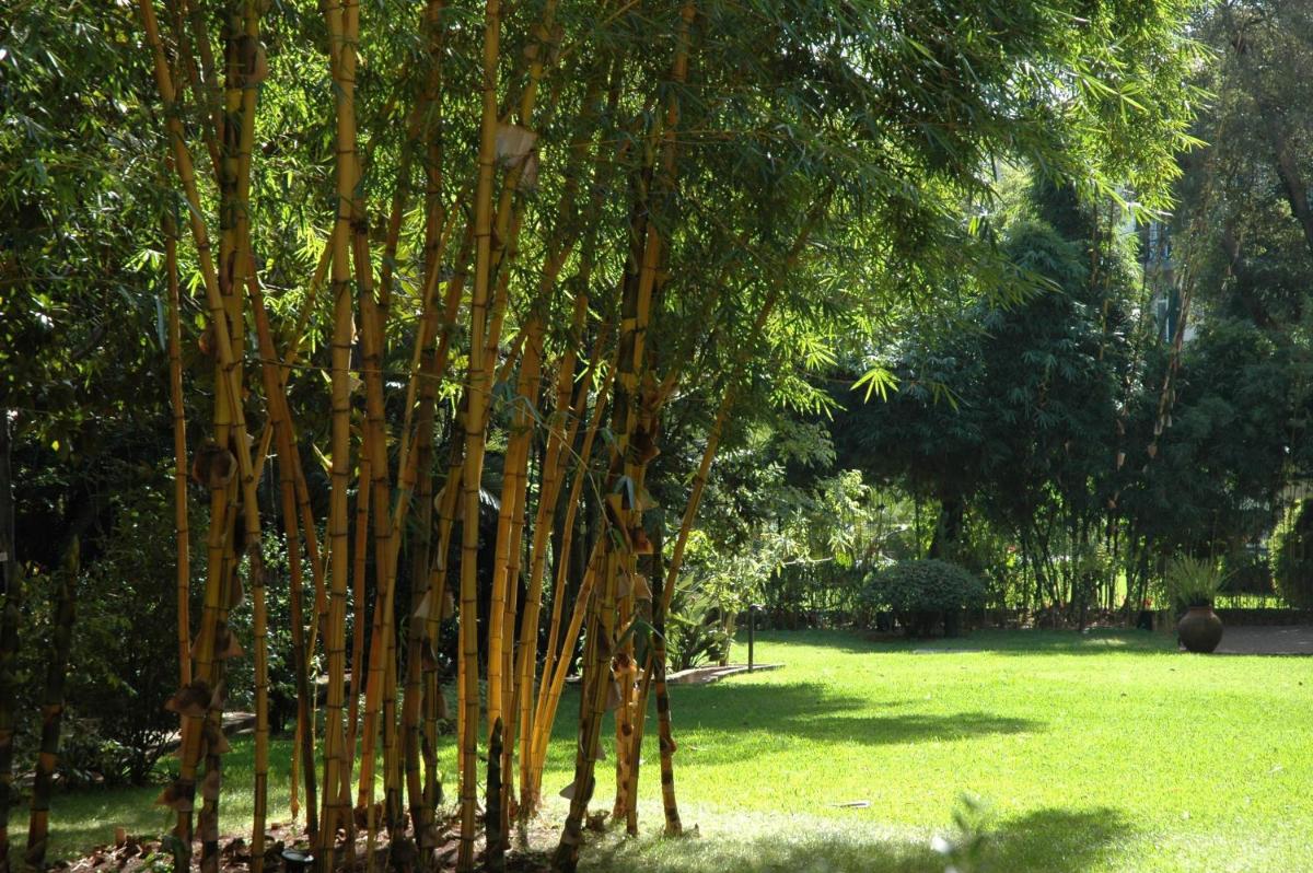 Quinta da Bela Vista