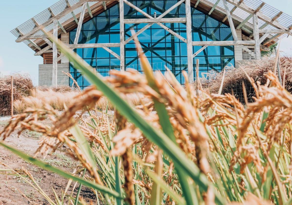 Quinta Da Comporta - Wellness Boutique Resort