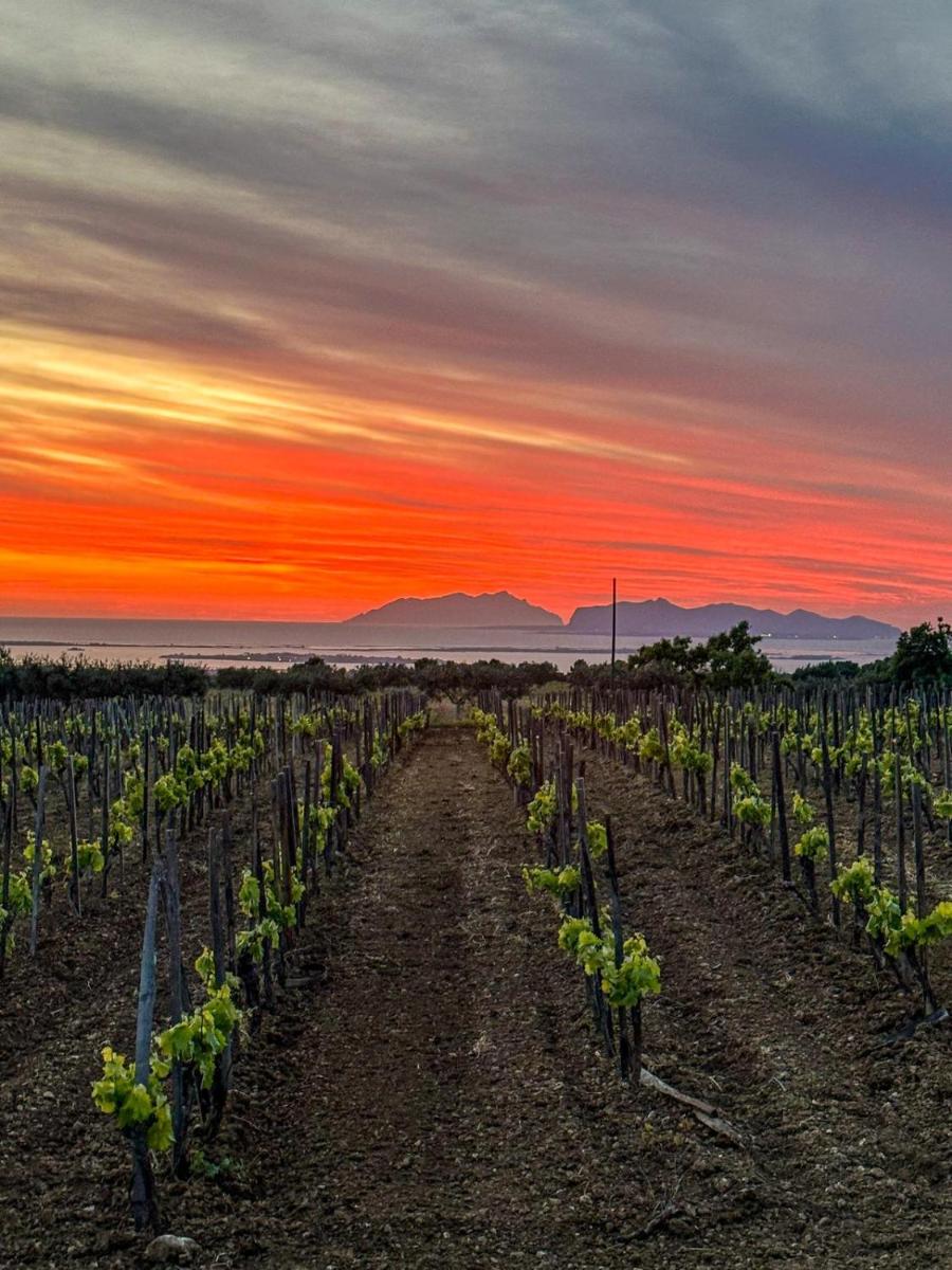 Agriturismo Baglio Donnafranca Wine Resort