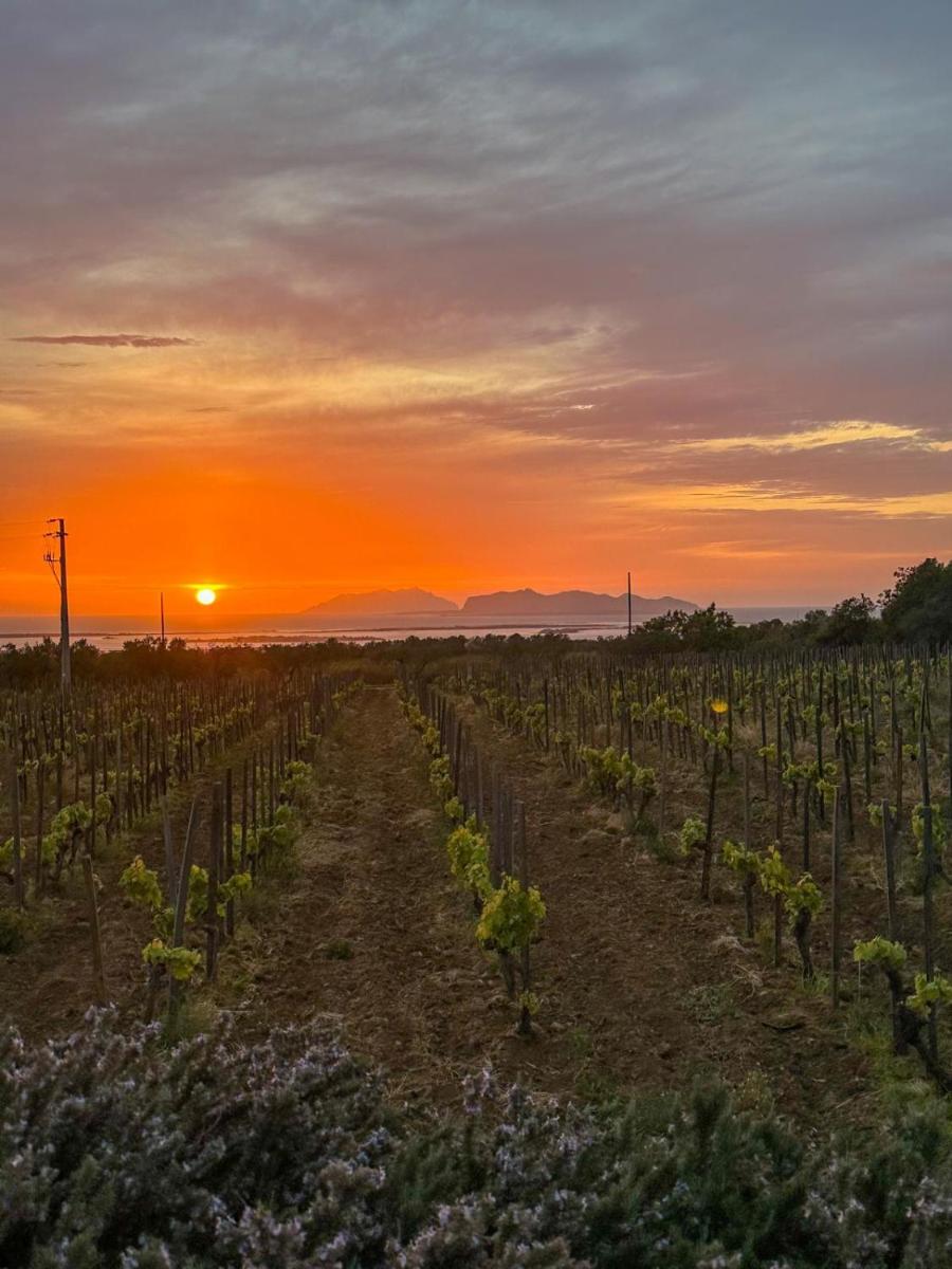 Agriturismo Baglio Donnafranca Wine Resort