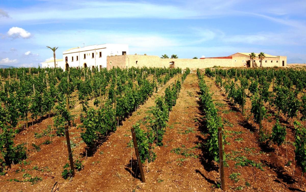 Agriturismo Baglio Donnafranca Wine Resort