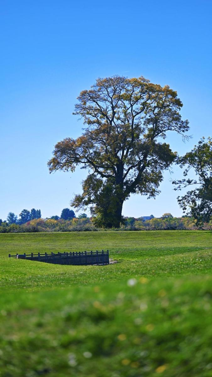 Relais de Margaux - Hôtel, Golf & Spa