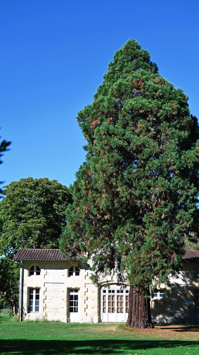 Relais de Margaux - Hôtel, Golf & Spa