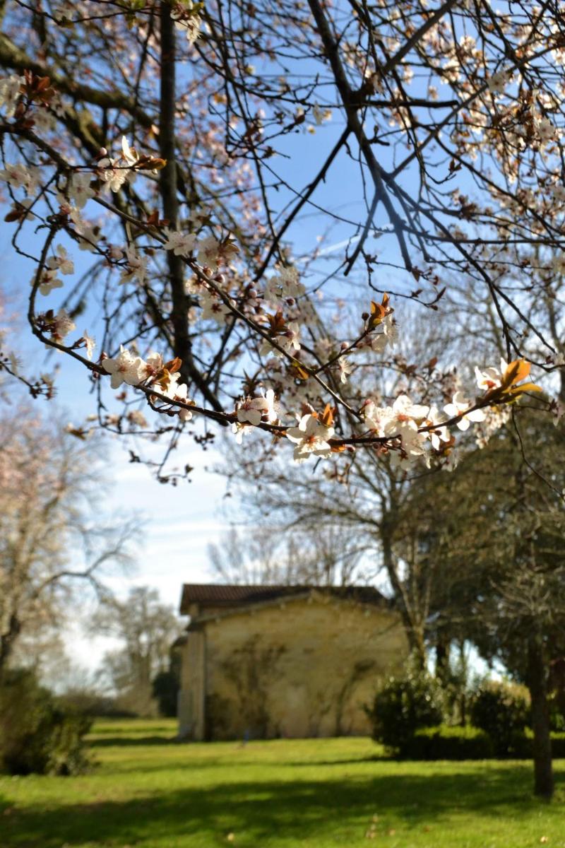 Relais de Margaux - Hôtel, Golf & Spa