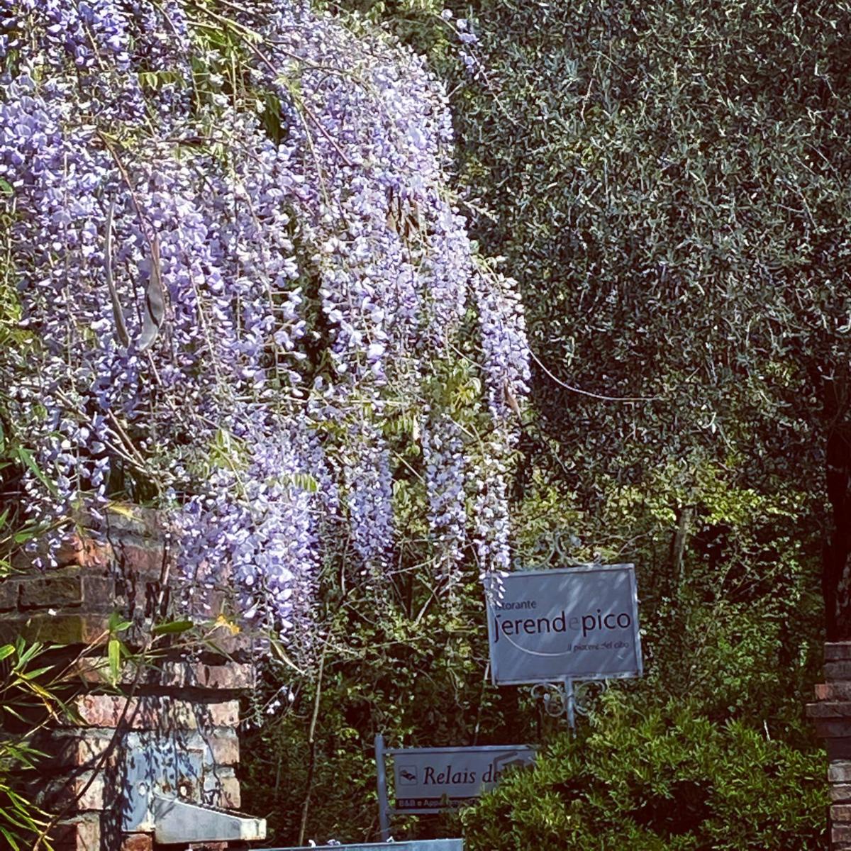 Relais Del Lago