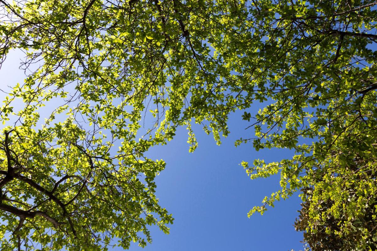 Relais San Martino - Salento