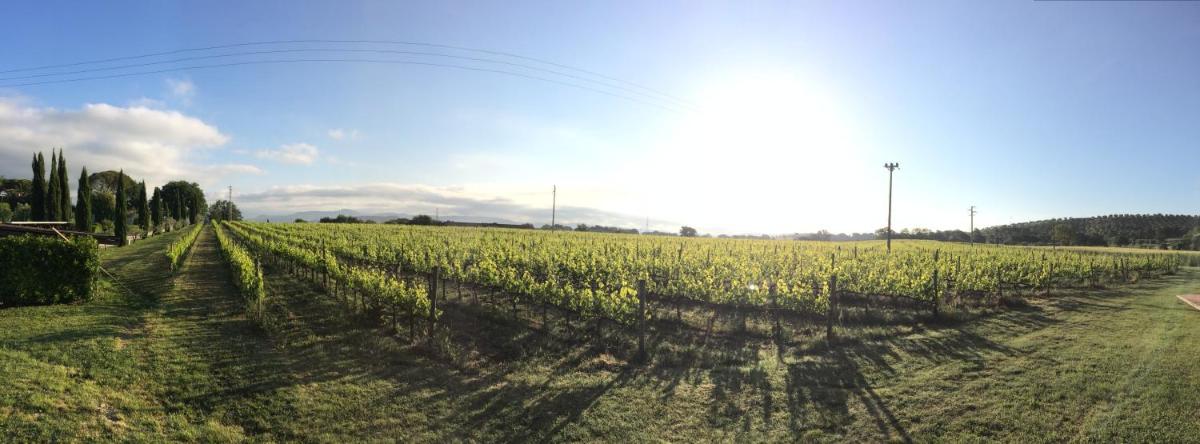 Villa Acquaviva Wine Resort