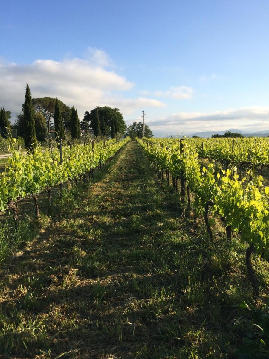 Villa Acquaviva Wine Resort