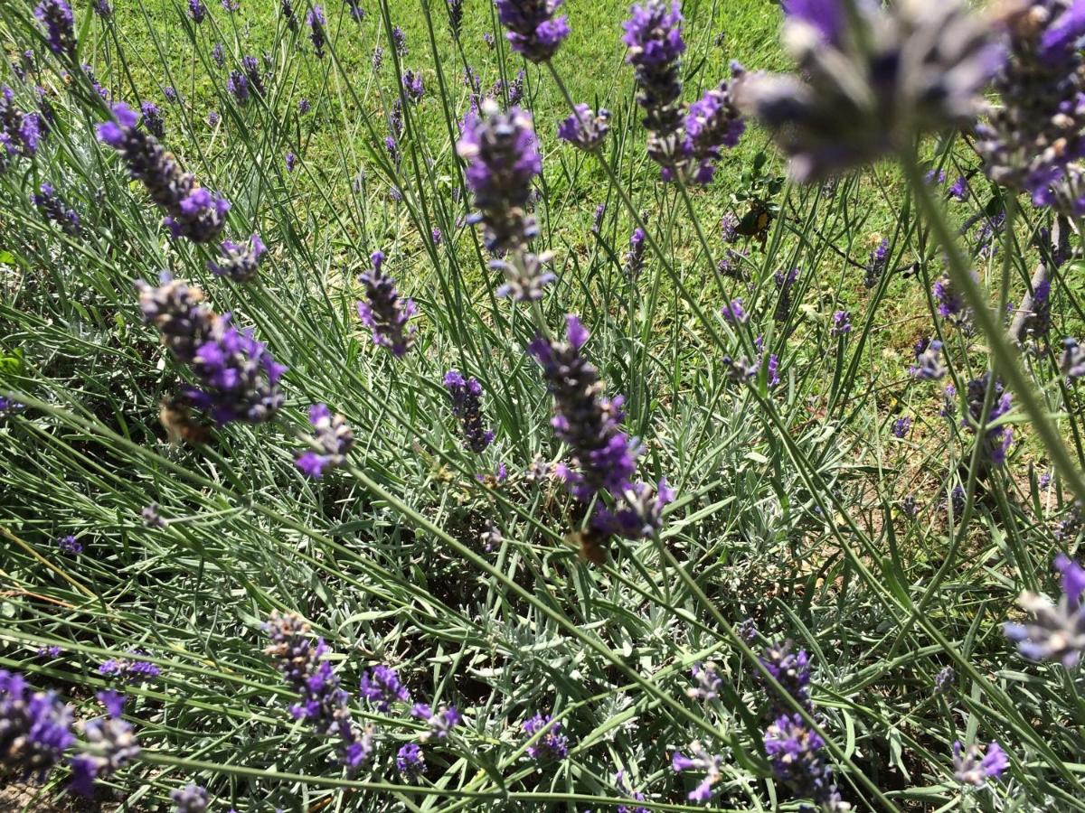 Villa Acquaviva Wine Resort