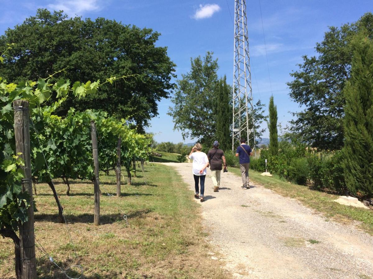 Villa Acquaviva Wine Resort