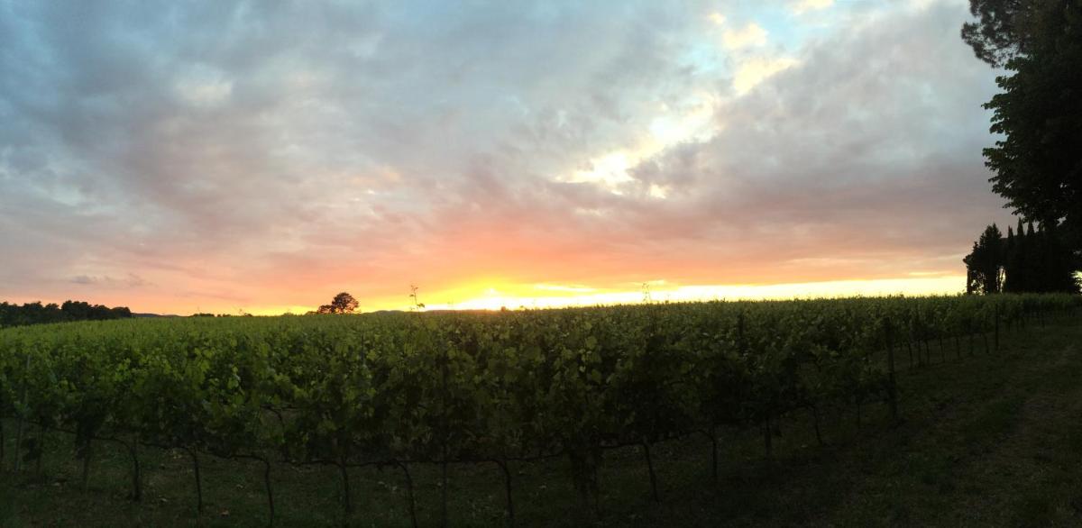 Villa Acquaviva Wine Resort