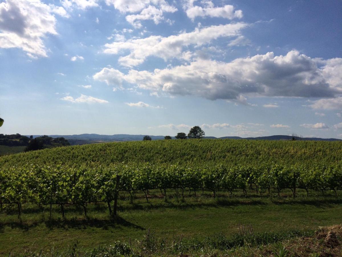 Villa Acquaviva Wine Resort