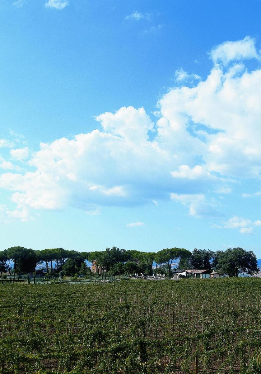 Villa Acquaviva Wine Resort