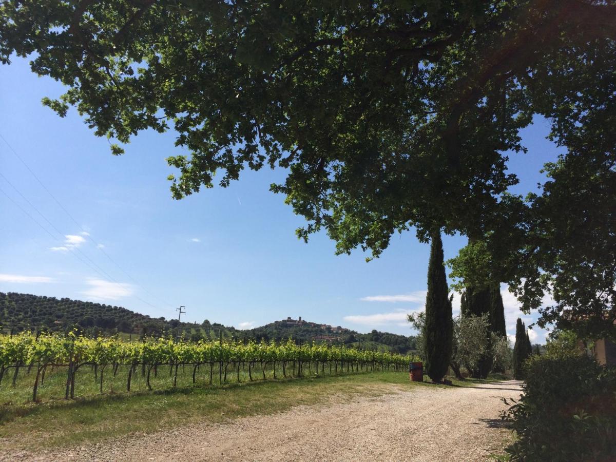 Villa Acquaviva Wine Resort