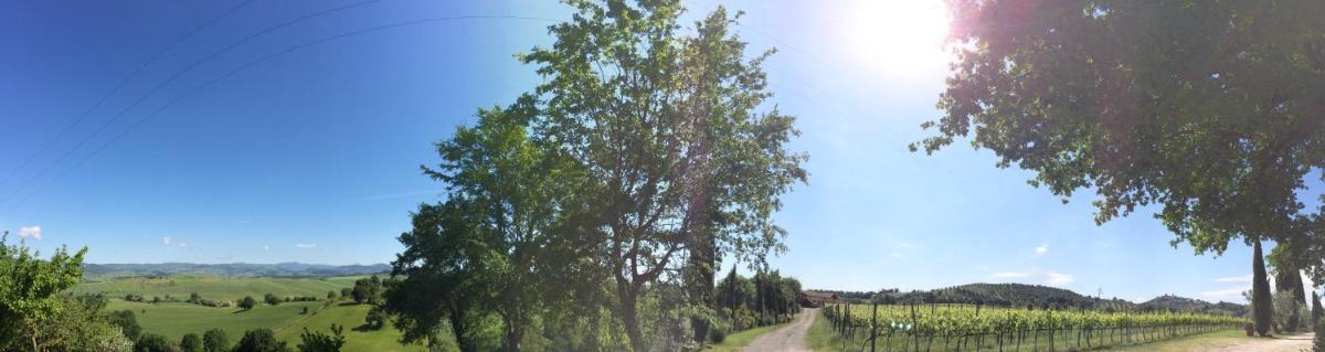 Villa Acquaviva Wine Resort