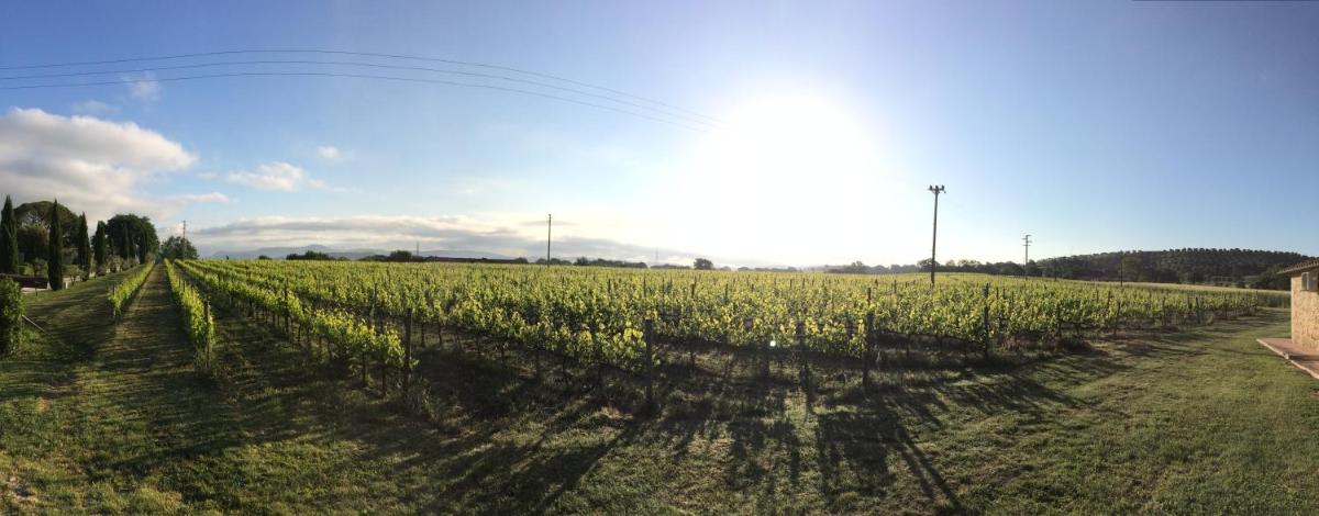 Villa Acquaviva Wine Resort
