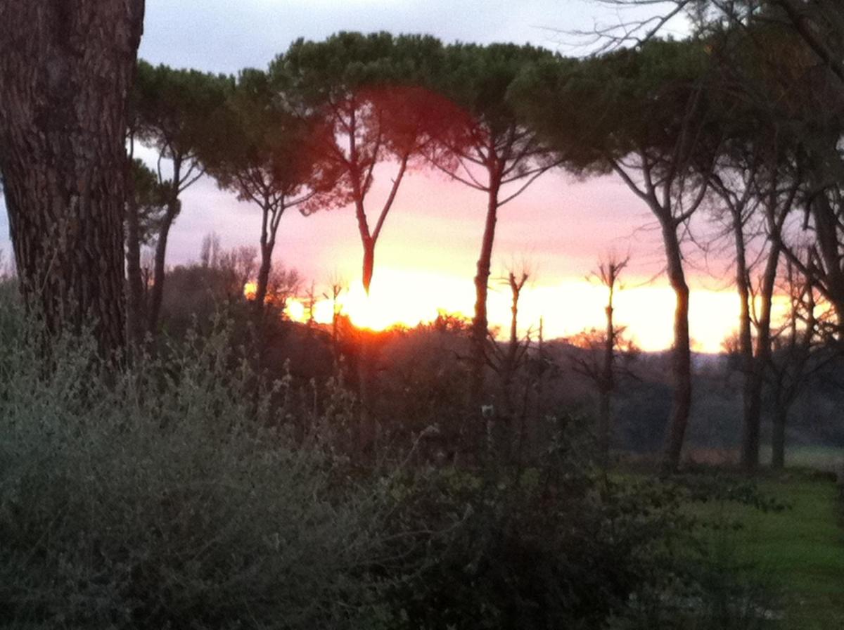 Villa Acquaviva Wine Resort