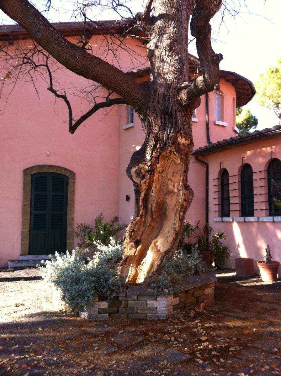 Villa Acquaviva Wine Resort