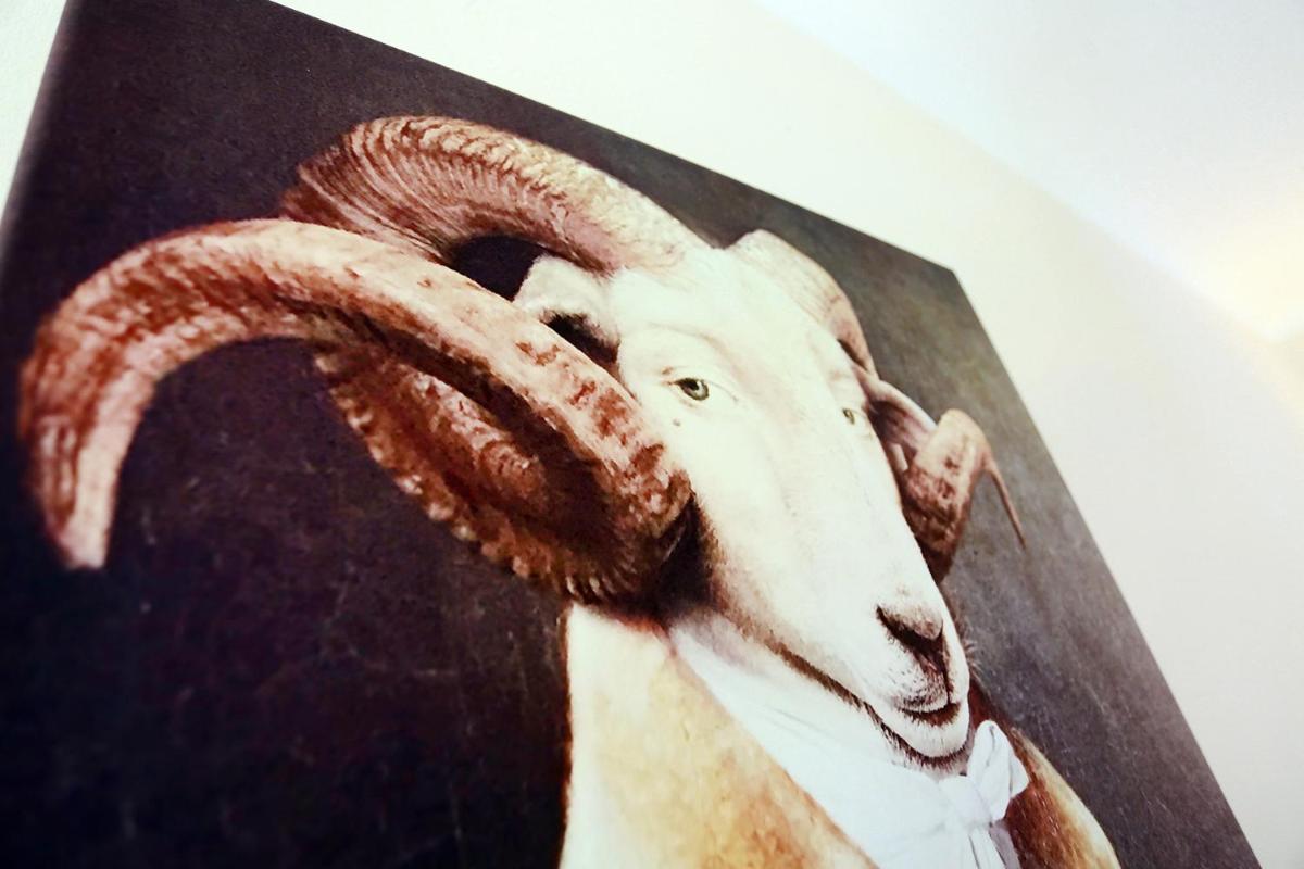 Renaissancehotel Raffelsberger Hof B&B