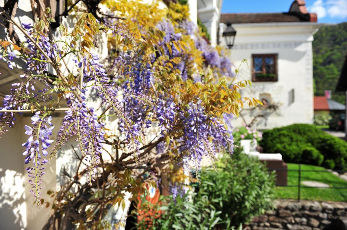 Renaissancehotel Raffelsberger Hof B&B